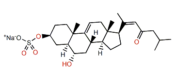 3b-O-Sulfo-6a-hydroxy-cholesta-9(11),20(22)-dien-23-one sodium salt